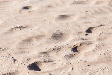 
White sand on the sea coast