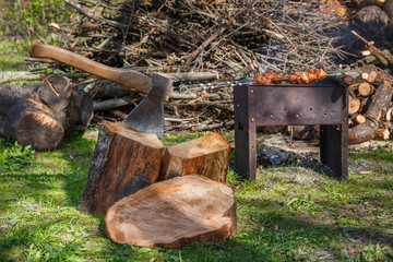 Mongol with barbecue, firewood with an ax in a clearing with green grass