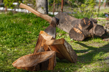 Firewood with an ax in a clearing with green grass