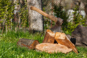 Firewood with an ax in a clearing with green grass