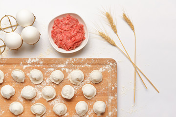 Obraz na płótnie Canvas Preparing of tasty dumplings on white background