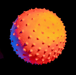 symbolic virus