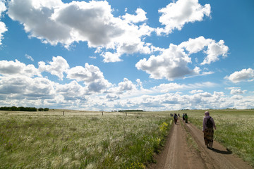 people walk in the distance on the road in the field, blue sky with clouds