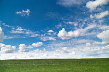 Fototapeta na wymiar blue sky with Cumulus clouds, field (steppe)