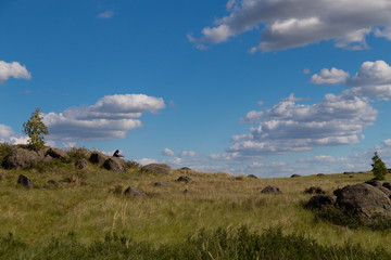 blue sky with Cumulus clouds, field (steppe)