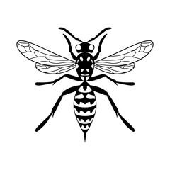 Insect wasp icon. Black wasp vector illustration on a white background. 