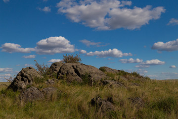 blue sky with Cumulus clouds, field (steppe)