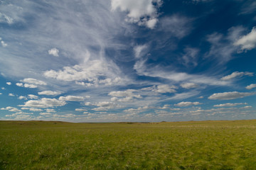 Obraz na płótnie Canvas blue sky with Cumulus clouds, field (steppe)