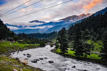 Beautiful view of clouded sky with pine trees and walnut trees at Kashmir,India.