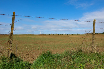 Campagna