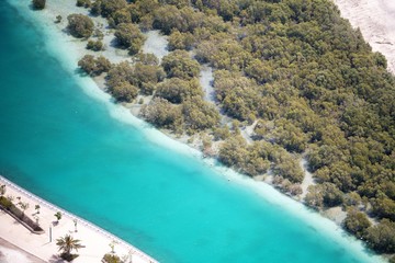 aerial view of a tropical island