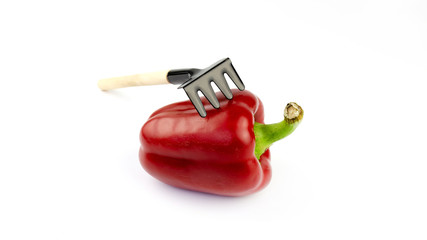 Small rake and red pepper on a white background