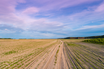 Fototapeta na wymiar Spring rural landscape, aerial view. View of plowed fields with beautiful sky