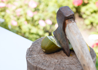 axe cuts cucumber not suitable for use on a stump, wooden deck