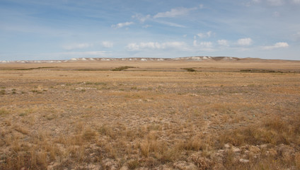 Fototapeta na wymiar dry steppe, white hills on the horizon with white clay