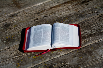 red open bible on a wood background, spring