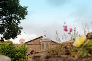 View of Temple of Romulus as clear background and flowers as blur foreground in Roman Forum, Rome, Italy