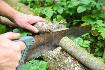 Man is sawing logs outdoors. Works with wooden in the village.