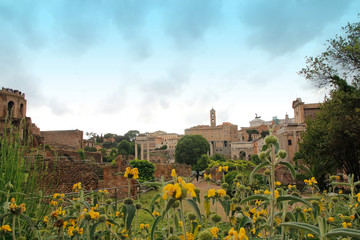 Obraz premium View of Rostrums, Umbilicus Urbis, Miliario Aure at Roman Forum with yellow flower as foreground in Rome, Italy