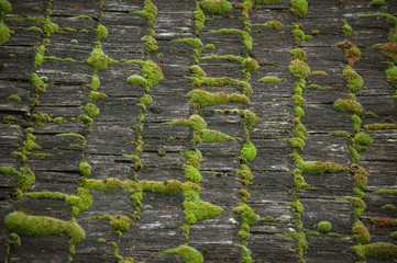 Moss covered wooden roof.