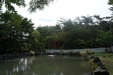 Fototapeta premium It is a photograph of nature of Lake west Fuji in Yamanashi, Japan.