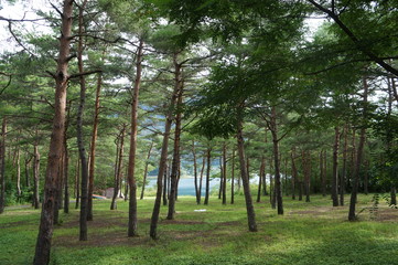 It is a photograph of nature of Lake west Fuji in Yamanashi, Japan.