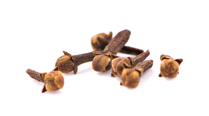 dry cloves an isolated on white background