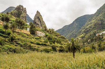 Roques de Pedro and Petra behind a beautiful palm tree seen from the valley in La Hermigua on La...