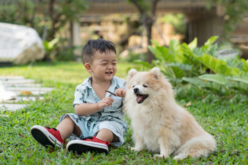 Asian cute baby boy and pomeranian dog siting on green grass.