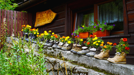 kwiaty w butach w górskim schronisku © Mariusz