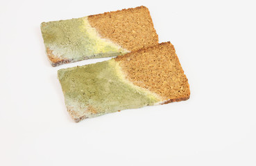 Mold growing rapidly on moldy bread on white background