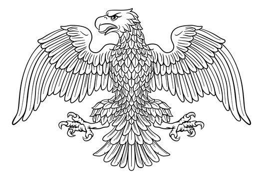 Eagle possibly German, Roman, Russian, American or Byzantine imperial heraldic symbol