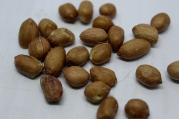Many peanuts in white background 