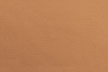 Light brown texture of genuine leather. Background, blank