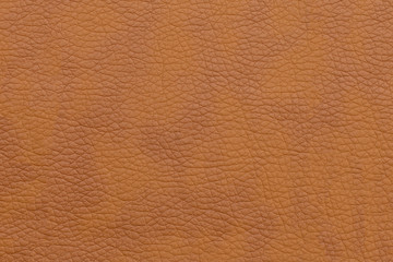 Brown texture of genuine leather. Background, blank