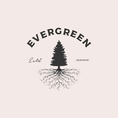 Evergreen root badge logo design vector illustration