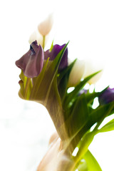 Portrait of a woman with multiple exposure against the background of tulips. Flower portrait of a...