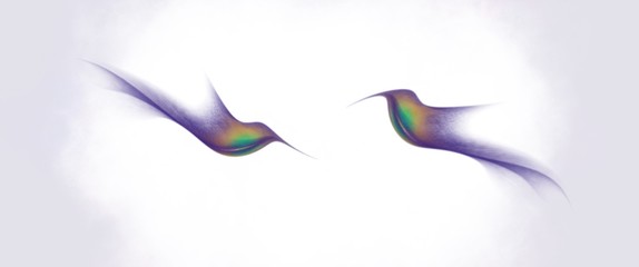 abstract flying hummingbirds isolated on white background illustration © venis