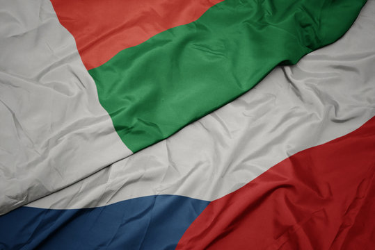 waving colorful flag of czech republic and national flag of madagascar.