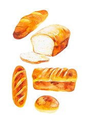 Watercolor illustration of various rolls and bread. Isolated on a white background