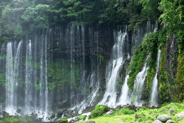 Fototapeta na wymiar 静岡　富士宮　白糸の滝