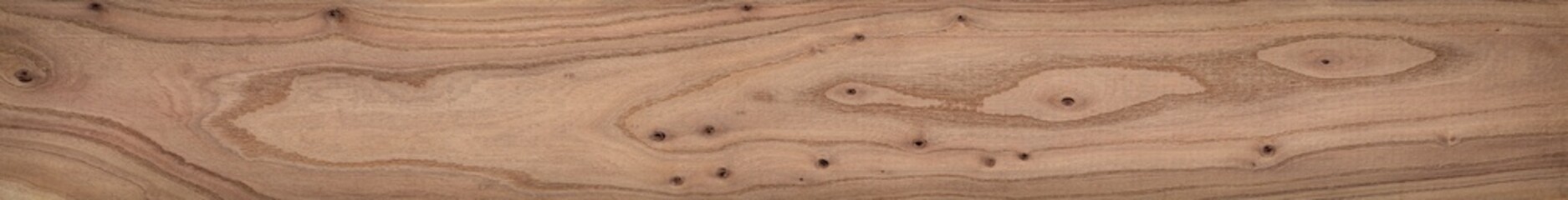 Fototapeta premium Elm long plank texture background. Old elm texture background.