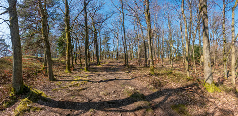 Slottskogen forest