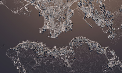 Hong Kong city map 3D Rendering. Aerial satellite view. © ink drop