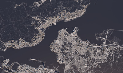 Fototapeta premium Hong Kong city map 3D Rendering. Aerial satellite view.