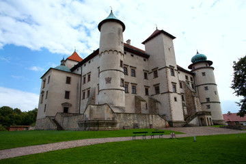 Zamek w Wiśniczu – zamek położony na zalesionym wzgórzu nad rzeką Leksandrówką w Nowym Wiśniczu
Wczesnobarokowy korpus zamku z elementami renesansowymi zbudowano na planie czworoboku z wewnętrznym dzi - obrazy, fototapety, plakaty