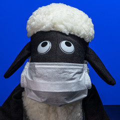 ram toy in a protective medical mask on a blue background