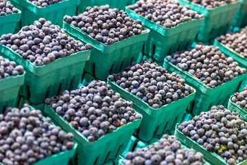 Fresh blueberries for sale on a farmers market stall
