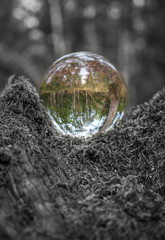 Glaskugel liegt auf Moos Welt umgedreht Blick durch die Kugel Crystal ball Color Key