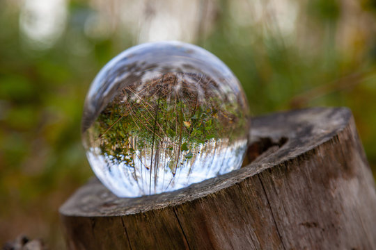Glaskugel liegt in einem Baum Welt umgedreht Blick durch die Kugel Crystal ball